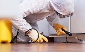 Emergency Pest Control Services in Wimauma, FL